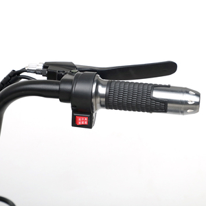 Vélo électrique populaire de Chine, modèle urbain à 2 places, moteur 350W pour adultes, vélo Lingdong - Product Image 4