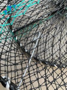 Cage à ressort ronde pliable Sea Bold pour attraper les crabes, outil <span class=keywords><strong>de</strong></span> pêche aux crabes en <span class=keywords><strong>bord</strong></span> <span class=keywords><strong>de</strong></span> <span class=keywords><strong>mer</strong></span>, cage à ressort - Product Image 3