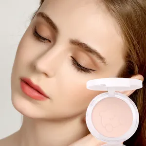 Wholesale 2023 Hot Sale HD Private Label Mineral Face Makeup Waterproof Matte Compact Pressed Powder