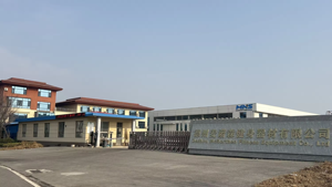 Máquina <span class=keywords><strong>de</strong></span> <span class=keywords><strong>Remo</strong></span> Comercial con Resistencia al Viento Ajustable y Pantalla Inteligente para Gimnasio y Estudio, Equipo <span class=keywords><strong>de</strong></span> Fitness Duradero y Personalizable - Product Image 5