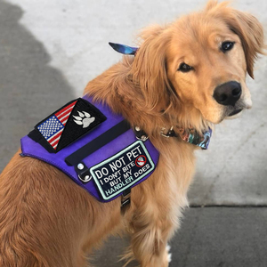 8 Pieces Embroidered <strong>Dog</strong> Patches Chenille Service <strong>Dog</strong> Vest Tactical Hook Loop Harness Logo DIY Decorations Removable Patches - Product Image 6