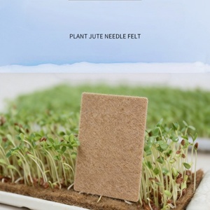 Anpassbare Jute-Pflanzenfaser-Wachstumsmatte für Microgreens, Hydroponische Anzuchtpads, Wachstumsschalen für Weizengras im Innenbereich - Product Image 3