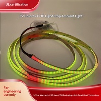 Bande LED RGB COB 5V IP20, éclairage ambiant, auto-adhésive, lumière linéaire avec effet d'eau courante, flexible, type corde