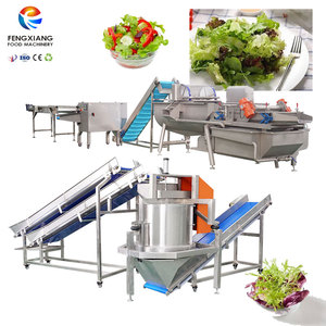 Fengxiang OEM & ODM Salad Process Line Baby <b>Vegetable</b> Vortex Washing Drying Machine - Product Image 1