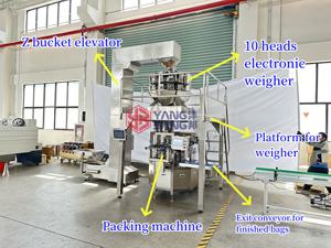 YB-210 Machine d'emballage de chips de fraise de banane séchée et de fraise de sac pré-fabriqué multifonction entièrement automatique - Product Image 3