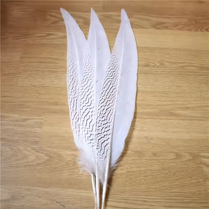 20-25cmシルバーキジの羽染めカラフルなシルバーキジの羽装飾用 - Product Image 2