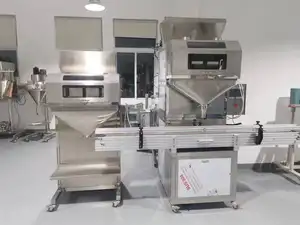 Sunflower Seeds Food Processing Line Granule FiIling And Packing Machine