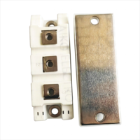 Module IGBT 1200V 50A à circuit demi-pont pour les entraînements de moteurs et les onduleurs haute puissance