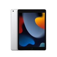 Tablet PC Inteligente Usada de 7.ª/8.ª/9.ª Generación, 10.2 Pulgadas, Grado A++, IOS A13, 256 GB, Versión Global