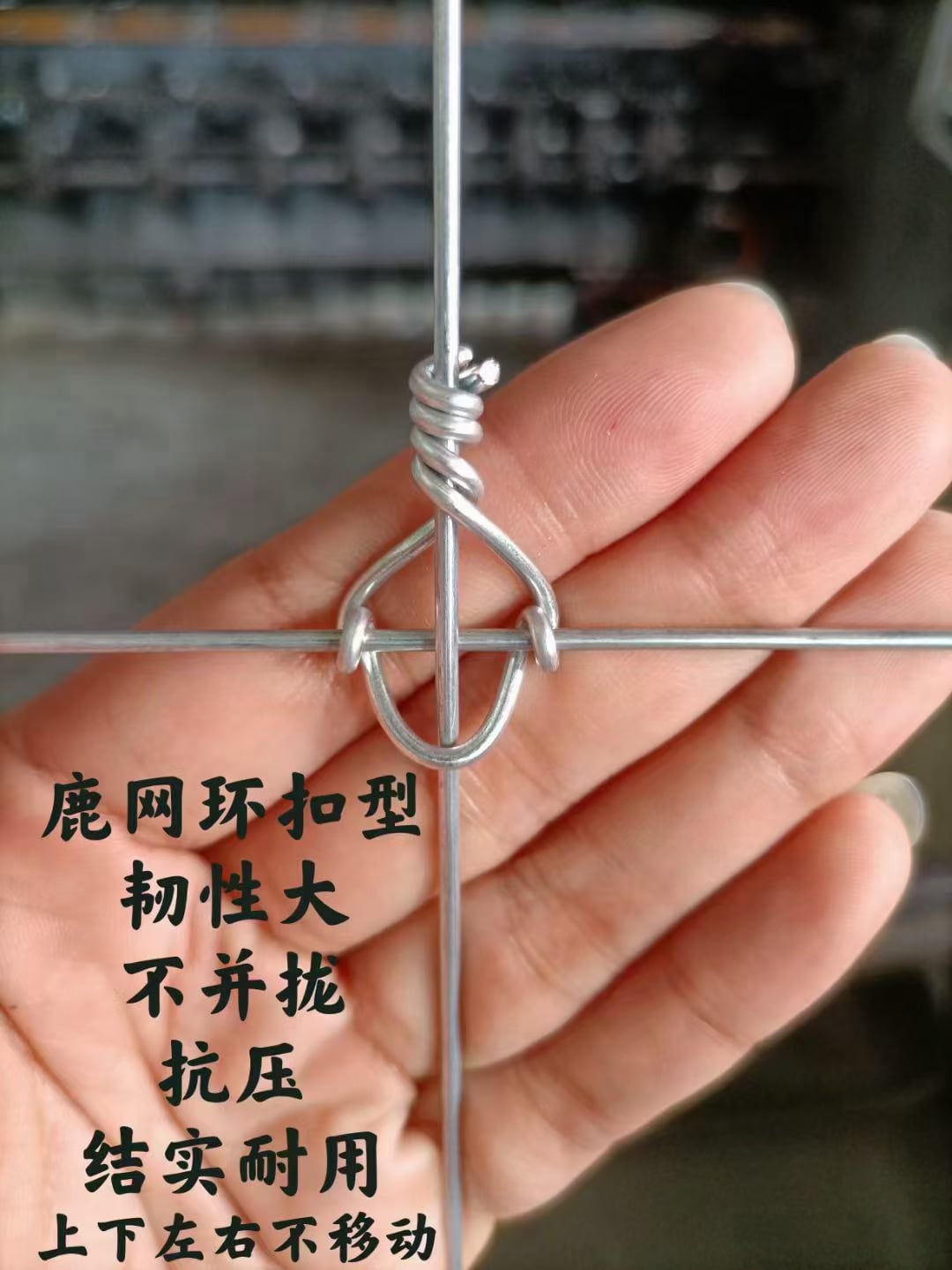 последние новости компании о Galvanized исправило загородка поля сетки фермы провода узла  3