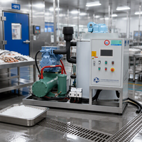 Machine à glace commerciale de taille moyenne, machine à glace pilée pour la viande et le poisson