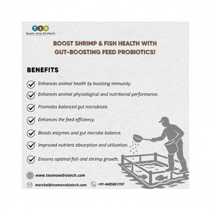 สารเสริมโพรไบโอติกสำหรับอาหารสัตว์น้ำที่เป็นมิตรต่อสิ่งแวดล้อม - Product Image 1