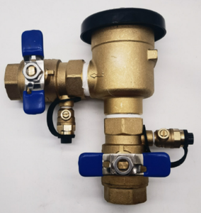 Valvola <span class=keywords><strong>di</strong></span> ritegno in ottone da 1 pollice per sistemi <span class=keywords><strong>di</strong></span> irrigazione e irrigatori, protezione anti-sifone - Product Image 1