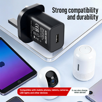 Cargador de Pared USB AC/DC de 5V 2A 10W Shenzhen Lvxiangyuan, Enchufe del Reino Unido, Certificado CE UKCA, Adaptador de Corriente para Luces LED y Cámaras