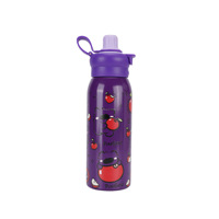 Bouteilles isothermes en acier inoxydable à double paroi, motif dessin animé, pour sport, camping, voyage, école, garçons et filles, maintien au chaud 12-24 heures