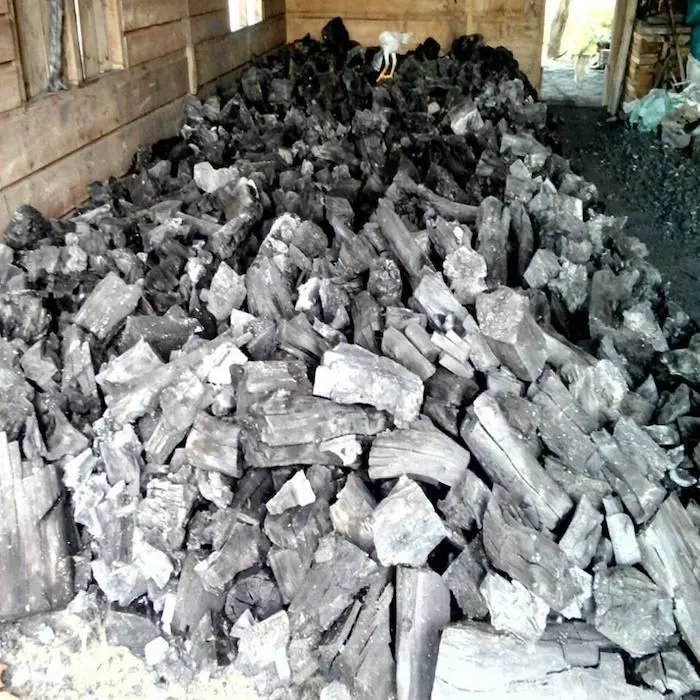 Compre churrasco pine carvão de madeira rápido, começando sem químicos, briquetas de carvão de carvão original de cherrywood, côco árvore carvão