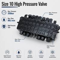 Vanne hydraulique multi-directionnelle Taifeng TRM10 taille 10, 350 bars, haute pression, sectionnelle, 80 L/min
