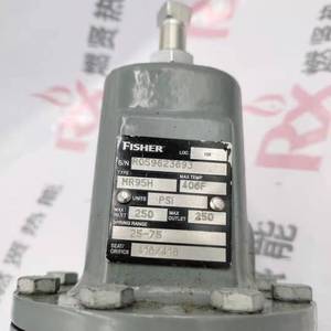 Shang Hai Ran Xian M95H, el alivio para la escasez de existencias 209 - Product Image 3
