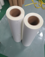 Usine taille personnalisée 30cm Transparent Dtf Film papier PET Film rouleau de feuille pour l'impression par transfert de chaleur à jet d'encre numérique