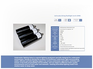 IP68 LED 수중등 10/20/50/100W 316L 스테인리스 스틸 PWM 디밍 가능 -10~10도 작동 온도 (심해용) - Product Image 4