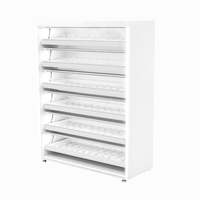 Présentoir à tabac APEX avec conception personnalisée présentoir de magasin de tabac au détail à vendre étagères de magasin de fumée personnalisées en fer