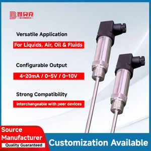 Heraeus เครื่องส่งสัญญาณอุณหภูมิ RTD PT100ความแม่นยำสูงระดับ A พร้อมหัววัดสแตนเลส4-20mA/0-5V/0-10V เอาต์พุต - Product Image 4