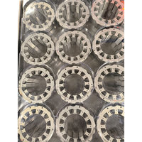 Stratification de noyau d'armature personnalisée en aluminium moulé sous pression Stator et noyau de rotor pour éolienne Bldc Stator Core