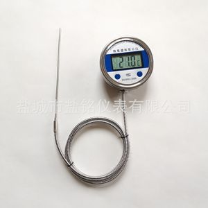 Salt Inscription Local Display Thermocouple 500 Mm Stainless Steel LCD Temperature Sensor For Industrial Use - Product Image 3