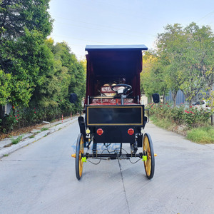 ราคาขายส่งจากผู้ผลิต รถม้าชมวิวสุดหรู รถม้าสำหรับการเดินทางพิเศษ - Product Image 6