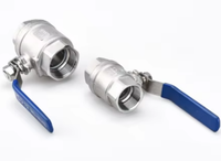 Vanne à boisseau sphérique en acier inoxydable 2 pièces SS304 316, 1000 WOG, filetage NPT BSP femelle, manuelle, pour conduites d'eau, d'huile et de gaz