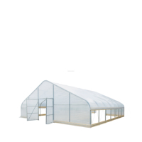 Serre moderne en acier galvanisé PE film 30x30ft 9x9m Serre personnalisée en polyéthylène pour plantation facile à assembler en extérieur