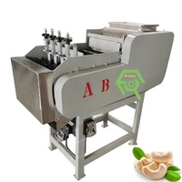 Fabrieks prijs cashewnoten opener schiller cashewnoten kraker schilmachine