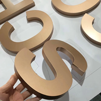 Lettres en acier inoxydable 3D OEM DakeSign, logo d'entreprise, décoration de bâtiments, hôpitaux, voitures, couleur personnalisable, panneau IP65