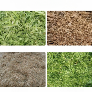 Alta produttività piccola famiglia portatile frumento e mais paglia frantoio nuova condizione per il pollame bovini ovini alimentazione di pollo - Product Image 6