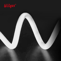 Bande LED RGB personnalisée de 1 m en PVC 24 V, tube néon flexible à 360 degrés, adressable, IP68, RGBIC, contrôleur CCT, interrupteur, pour aménagement paysager