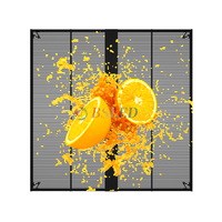Écrans LED transparents étanches pour extérieur 500x1000mm, location, IP65, luminosité 4500, design fin, garantie 3 ans