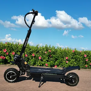 Flj Volwassen Stand Up Elektrische Scooter Krachtige 60V 5600W Motor Elektrische Voor Retail Verkoop Op Eu Magazijn