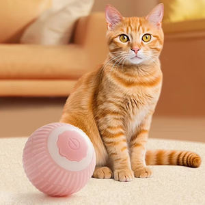 Bán buôn cán bóng tương tác đồ chơi làm giảm sự nhàm chán chơi với mèo thông minh tương tác mèo đồ chơi cán bóng - Product Image 5