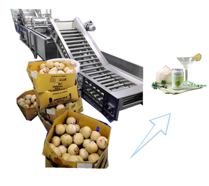 Offre des machines de traitement de l'eau de noix de coco vertes et matures - Product Image 3