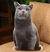 Coussin en peluche personnalisé à rayures de dessin animé pour animaux de compagnie, jouet pour amoureux de chats et chiens, coussin écologique pour la maison, forme et couleur personnalisables, vente en gros