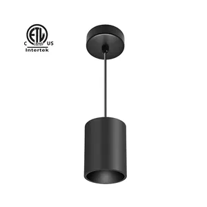 Master D IP65 Series ETL Large Wattage 7W-100W LED COB Black White Lamp Pendant Lights High Ceiling For Home Hotel