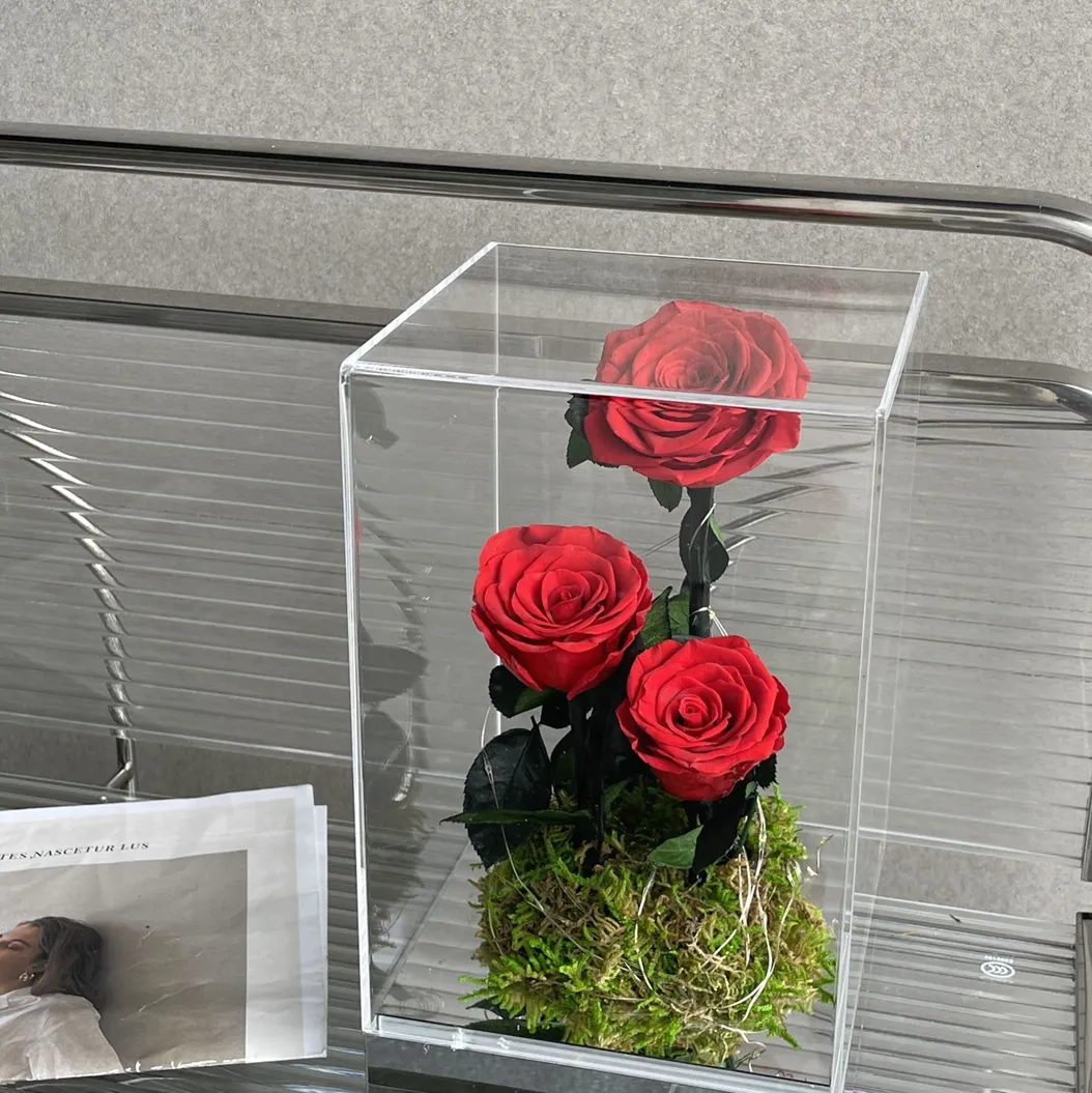 Vente en gros Rosa Eterna naturelle éternelle rose bleu rose préservée colorée en dôme de verre acrylique pour boutique
