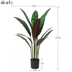 &quot;Oh Arts Hot Selling 125 CM Height Real Touch 20 Leaves <strong>Artificial</strong> Goeppertia <strong>Tree</strong> In Pot For Home Living Room <strong>Decoration</strong> &quot;