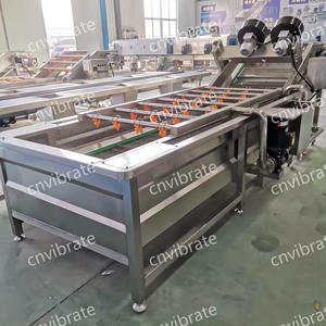Máquina Industrial VBJX para Lavar y Secar Frutas y Verduras, Ideal para Piña y Otras Frutas - Product Image 4