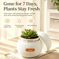 Pot à plantes auto-arrosant double couche personnalisé en plastique avec coton absorbant l'eau