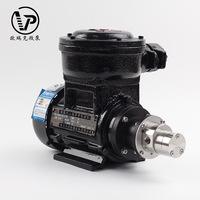Pompe à engrenages à entraînement magnétique 380V AC, mini pompe à engrenages sans fuite pour le transfert de liquides à haute viscosité