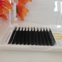 Extensions de cils 5D en W, cils individuels en W 0,07 mm C CC D, super doux, faits à la main, en cheveux synthétiques, qualité supérieure naturelle, éventails pré-faits