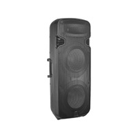 Haut-parleur double 15 pouces en plastique, enceinte DJ amplifiée classe AB, enceinte PA avec LED USB pour la location d'événements, approvisionnement en gros