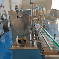 Machine de remplissage de pompe à piston de bouteille de gommage corporel de mayonnaise de Kechup de matériau visqueux et machine de capsulage
