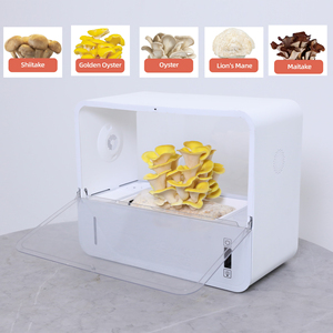 Boîte de culture de champignons en kit biologique en gros-Idéal pour les détaillants, à croissance rapide et à haut rendement, <span class=keywords><strong>guide</strong></span> d'instructions complet - Product Image 3